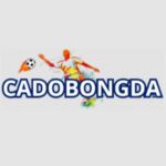 Trang Cá Độ Bóng Đá Trực Tiếp