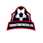 tranhtaibongdavn