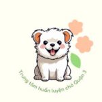 trungtamhuanluyenchoq3