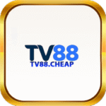 tv88cheap