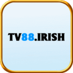 tv88irish