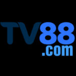 TV88