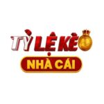 tylekeo360win