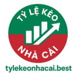 tylekeonhacaibest