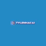 Tylenhacaiinnet