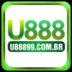 u88899combr