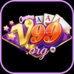 v-99org