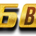 v6betto