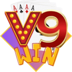 V9WIN Space