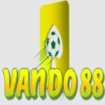 Vando88