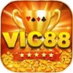 vic88dev