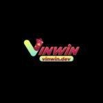 VINWIN