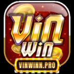 Vinwin