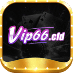 vip66cfd