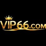 VIP66