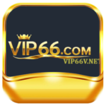 vip66vnet