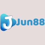 vipjun88co