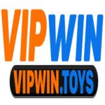 vipwin toys