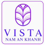 vistainsight