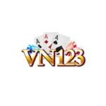 VN123