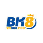 vnbk8pro