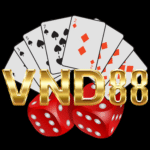 vnd888net