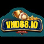 VND88