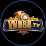 vnd88