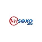 Sổ Xố VN – Kênh tra cứu xổ số trực tuyến, tiện lợi và bảo mật