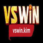 VSWIN