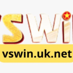 VSWIN