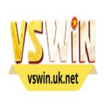 VSWIN