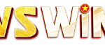 VSWIN
