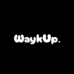 waykup2004