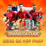 webcacuochopphap