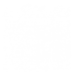 WhiteScreenWebapp