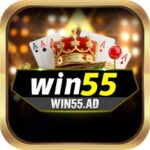 Win55 - Trải Nghiệm Cá Cược Trực Tuyến Hàng Đầu