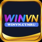 winvn