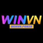 Winvn