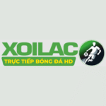 wredlichcom domain da qua su dung