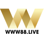 WW88support
