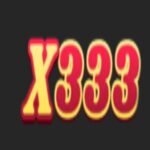 X333