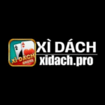 Xì Dách | Trực Tuyến