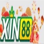 Cong Game