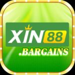 xin88