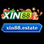 XIN88
