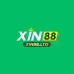 Xin88ltd1