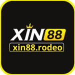 xin88rodeo