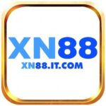 XN88