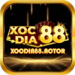 Xocdia88 – Cổng Game Xóc Đĩa & Đổi Thưởng Uy Tín Hàng Đầu